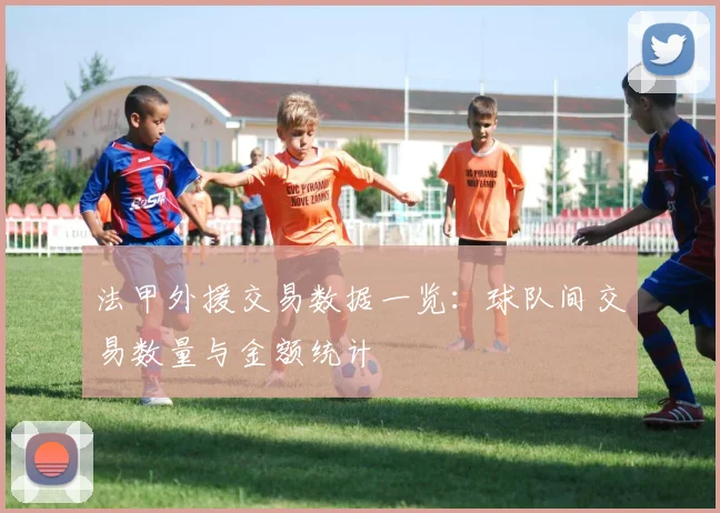 法甲外援交易数据一览：球队间交易数量与金额统计